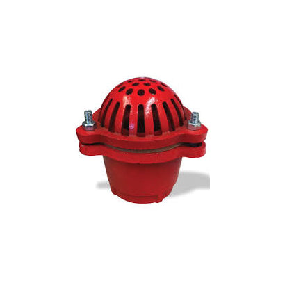 2 1/2" Foot Valve - Cast Iron