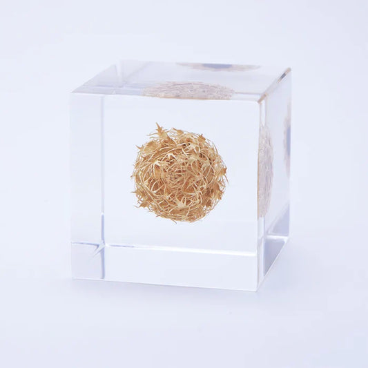 Basket Flower Cube