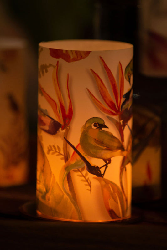 Sharon B Design Strelitzia Candle Shade / Lantern